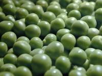 garden peas