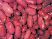 kidney beans