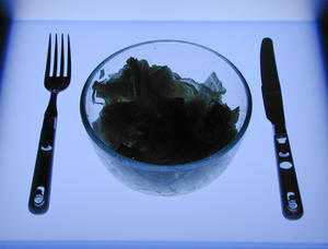 silhouette dinner