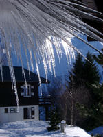 icicles