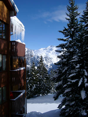 alpine lodge and trees