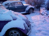 VW beatle snow