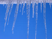 icicles