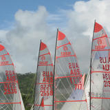 tasar sails