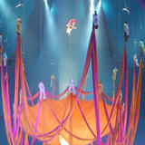 circus display