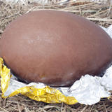 Chocolate Easter Egg On Foil Wrapper