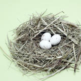 Nest With Speckled Eggs
