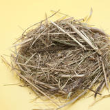 Empty Straw Nest