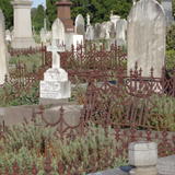 graves and railings