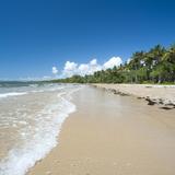 sandy tropical beach