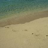 Tropical sandy beach with footprints
