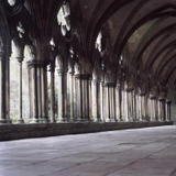 cloisters - salisbury cathedral