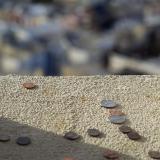 coit tower coins