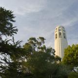 coit tower