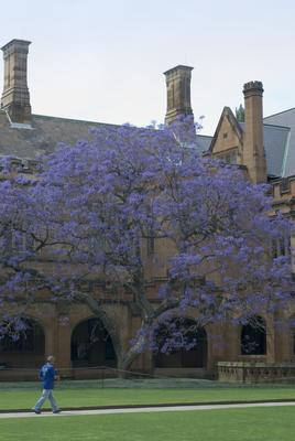 sydney university