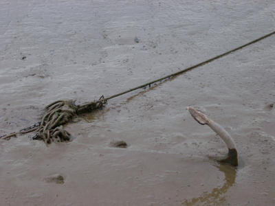 anchor in the mud