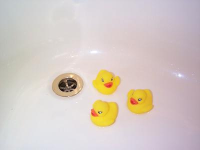 ducks in the bath
