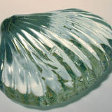 glass shell
