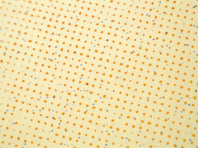 dot pattern yellow