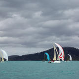 yachts flying spinnakers