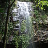 dorrigo waterfall