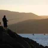 fishing silhouette