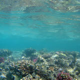 Underwater Zone