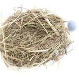 Empty Decorative Nest