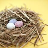 Mini Egg Nest