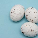 Mini Speckled Eggs