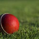 Red Cricket Ball On Grass