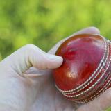 Hand Holding Cricket Ball