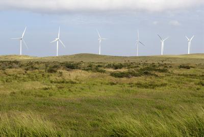 Kamaoa Wind Farm