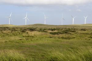 Kamaoa Wind Farm