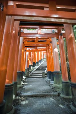 torii gate stairs
