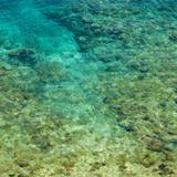 Shallow clear water with coral