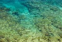 Shallow clear water with coral