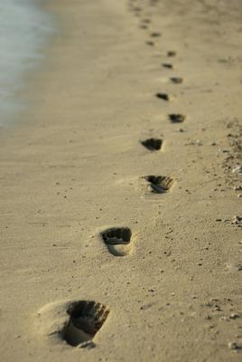 Footprints alongside the sea