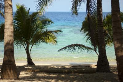 Shady tropical beach