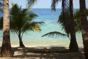 Shady tropical beach