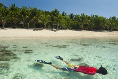 Snorkeller off a tropical island