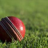 Red cricket ball on green grass