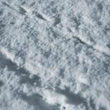 snow tracks