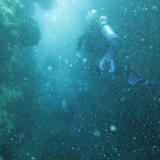 divers underwater